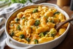 Mild Cheesy Broccoli Pasta Shells recipe from Little Fork Academy